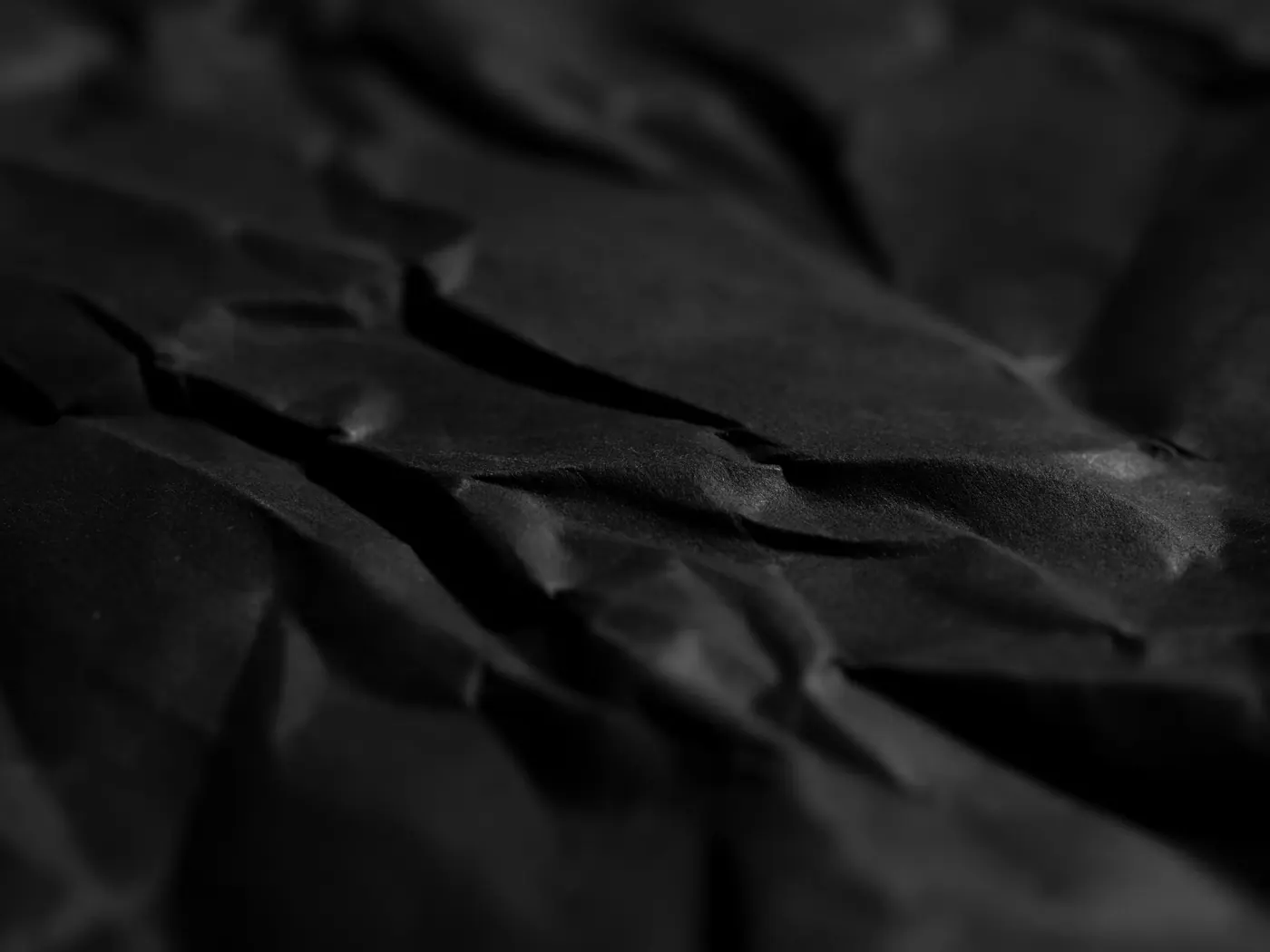 Close-up of a textured surface